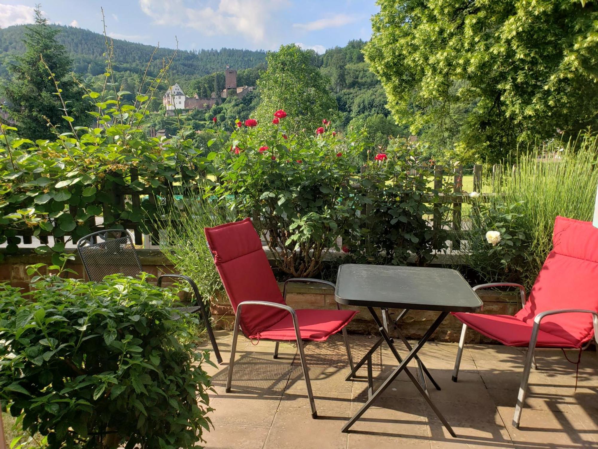 Panorama-Blick Miltenberg, 3 Pers., Zentr., Am Main, Terrasse, Bootverleih, P Apartment Exterior photo