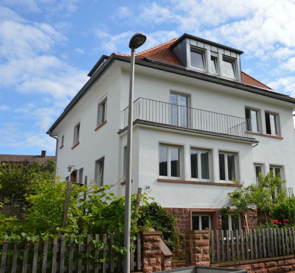 Panorama-Blick Miltenberg, 3 Pers., Zentr., Am Main, Terrasse, Bootverleih, P Apartment Exterior photo