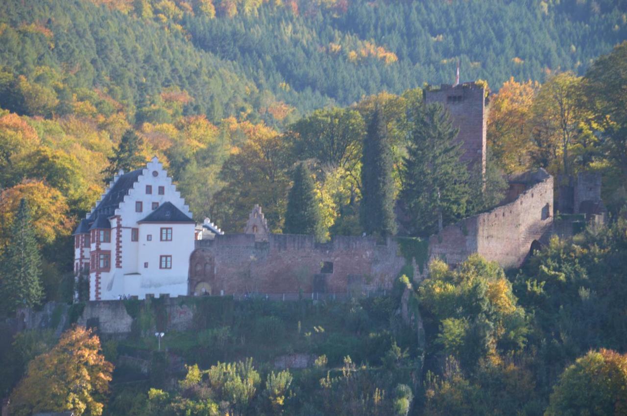 Panorama-Blick Miltenberg, 3 Pers., Zentr., Am Main, Terrasse, Bootverleih, P Apartment Exterior photo