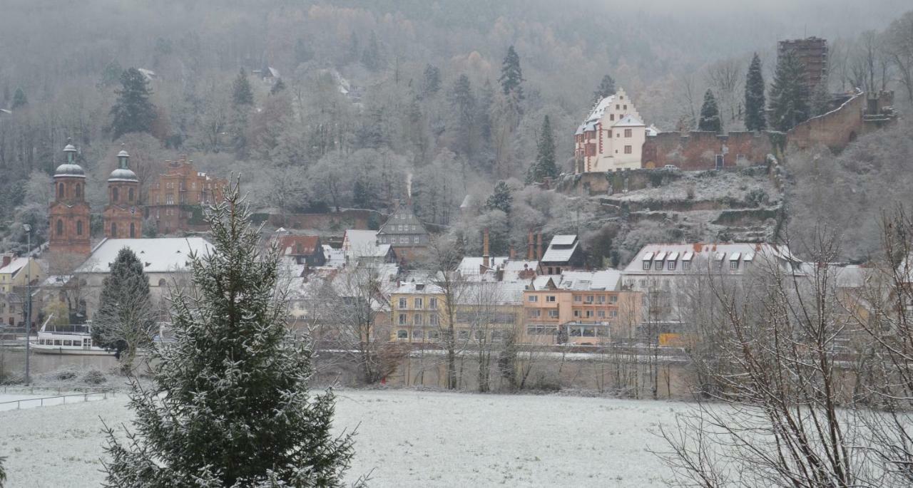 Panorama-Blick Miltenberg, 3 Pers., Zentr., Am Main, Terrasse, Bootverleih, P Apartment Exterior photo